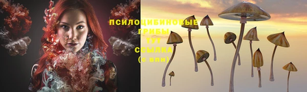 МДПВ Заволжье