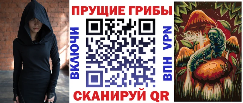 Псилоцибиновые грибы Psilocybe  Купить где  Неман 